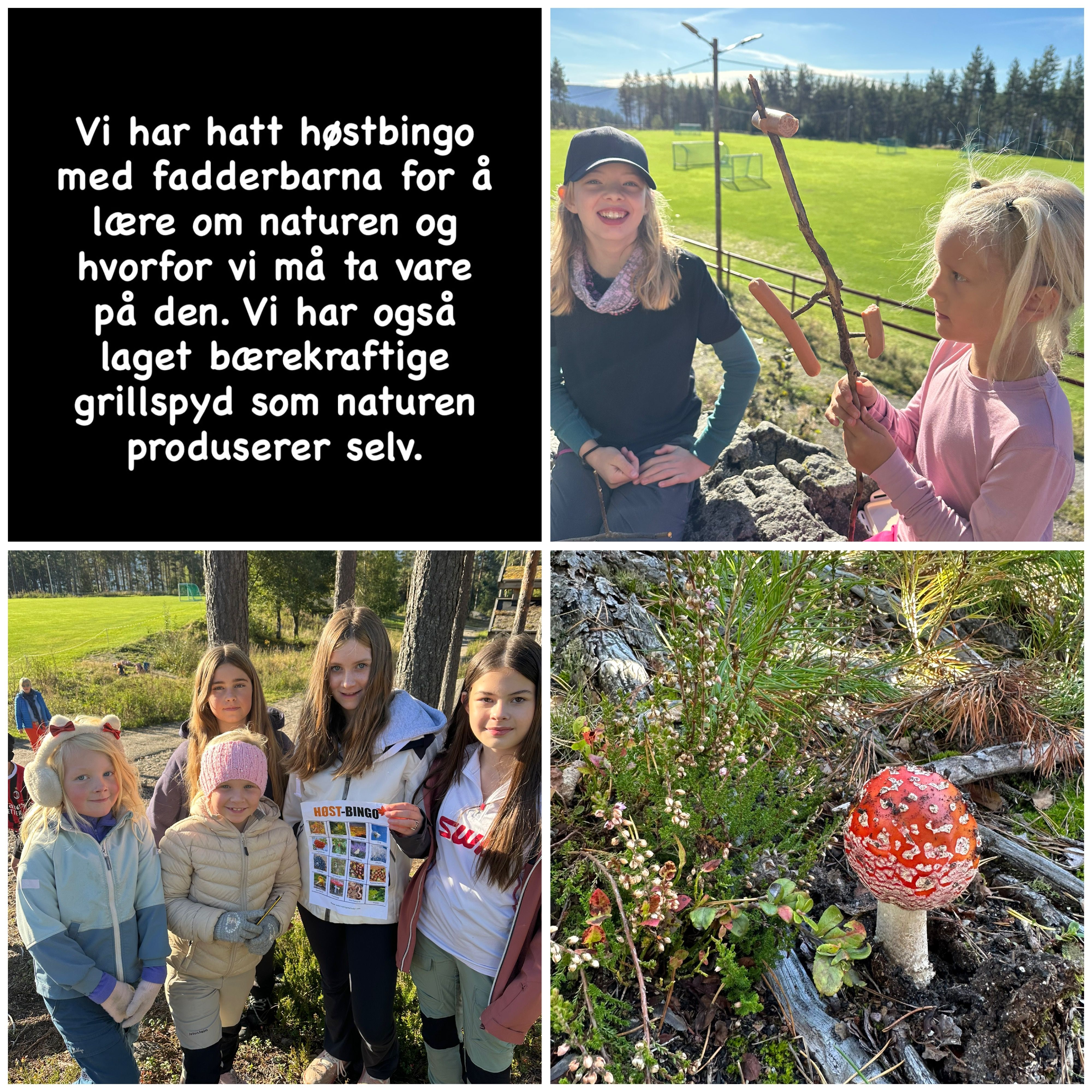 svar fra 6 A ved Krokstad skole