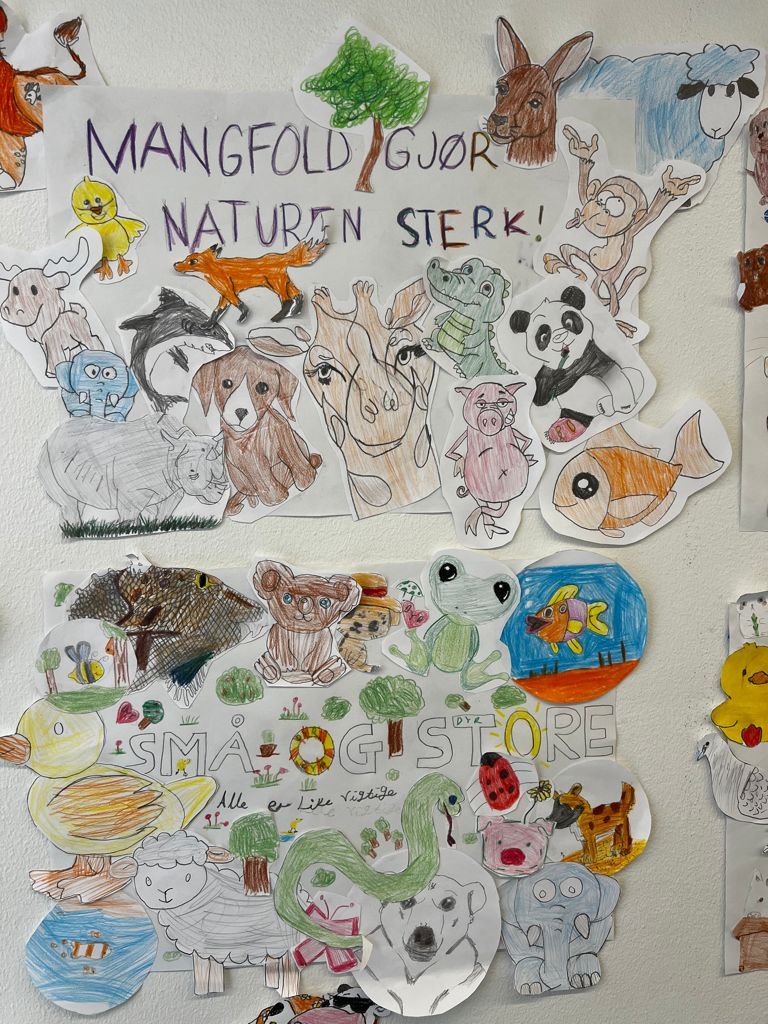 Innspill fra 6B Bestum skole