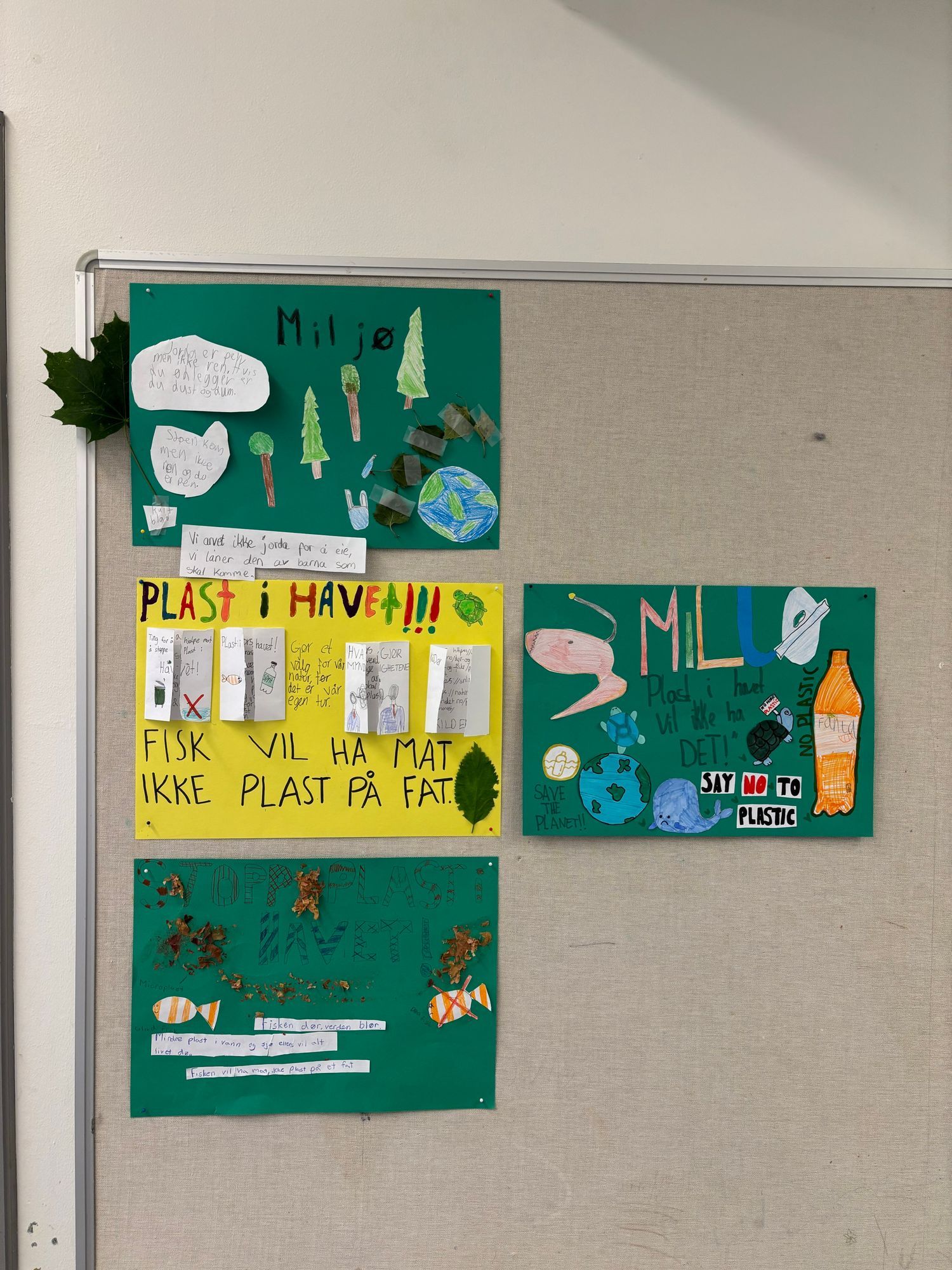 Innspill fra 6C Bekkelaget skole