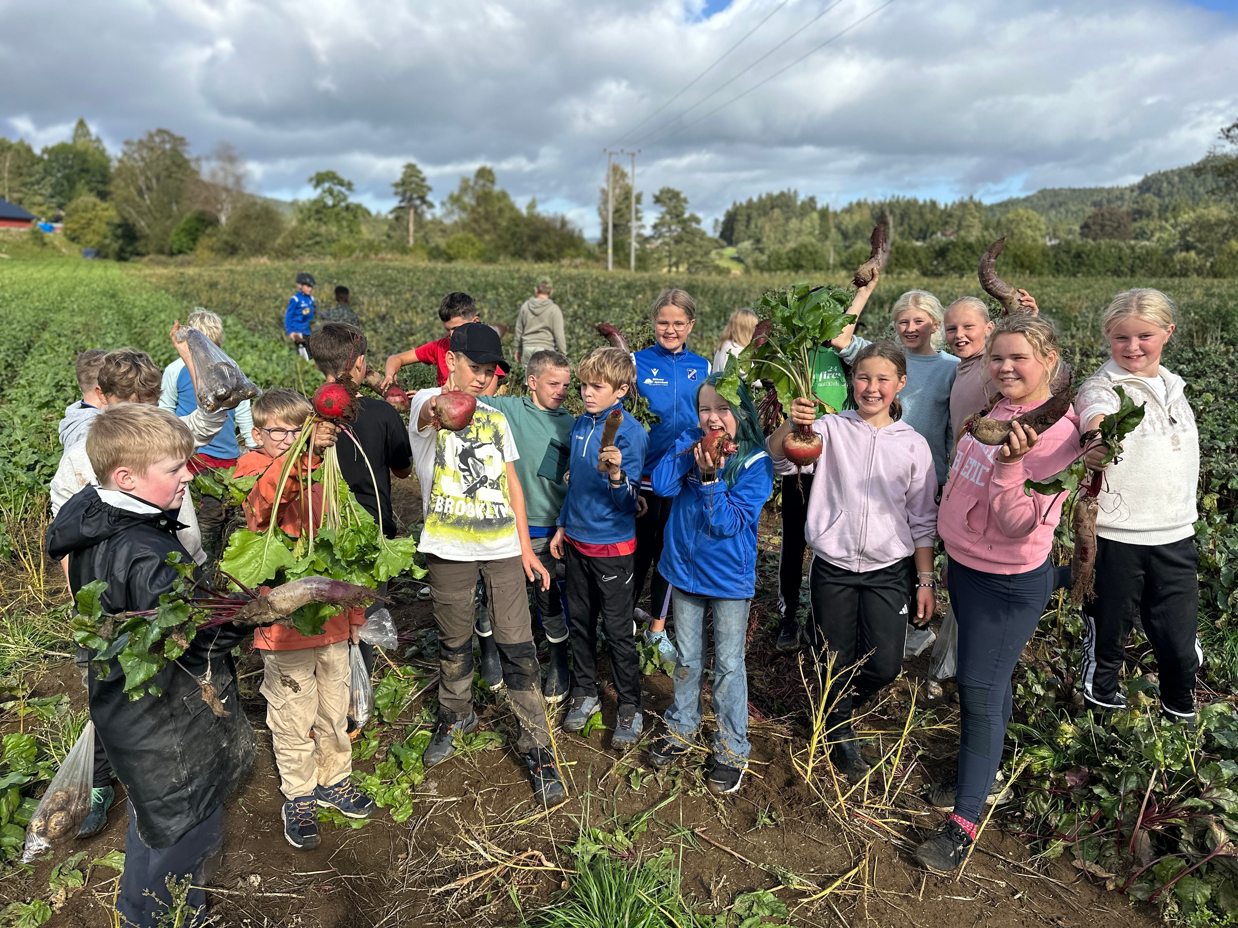 svar fra 6 C ved Birkeland skole