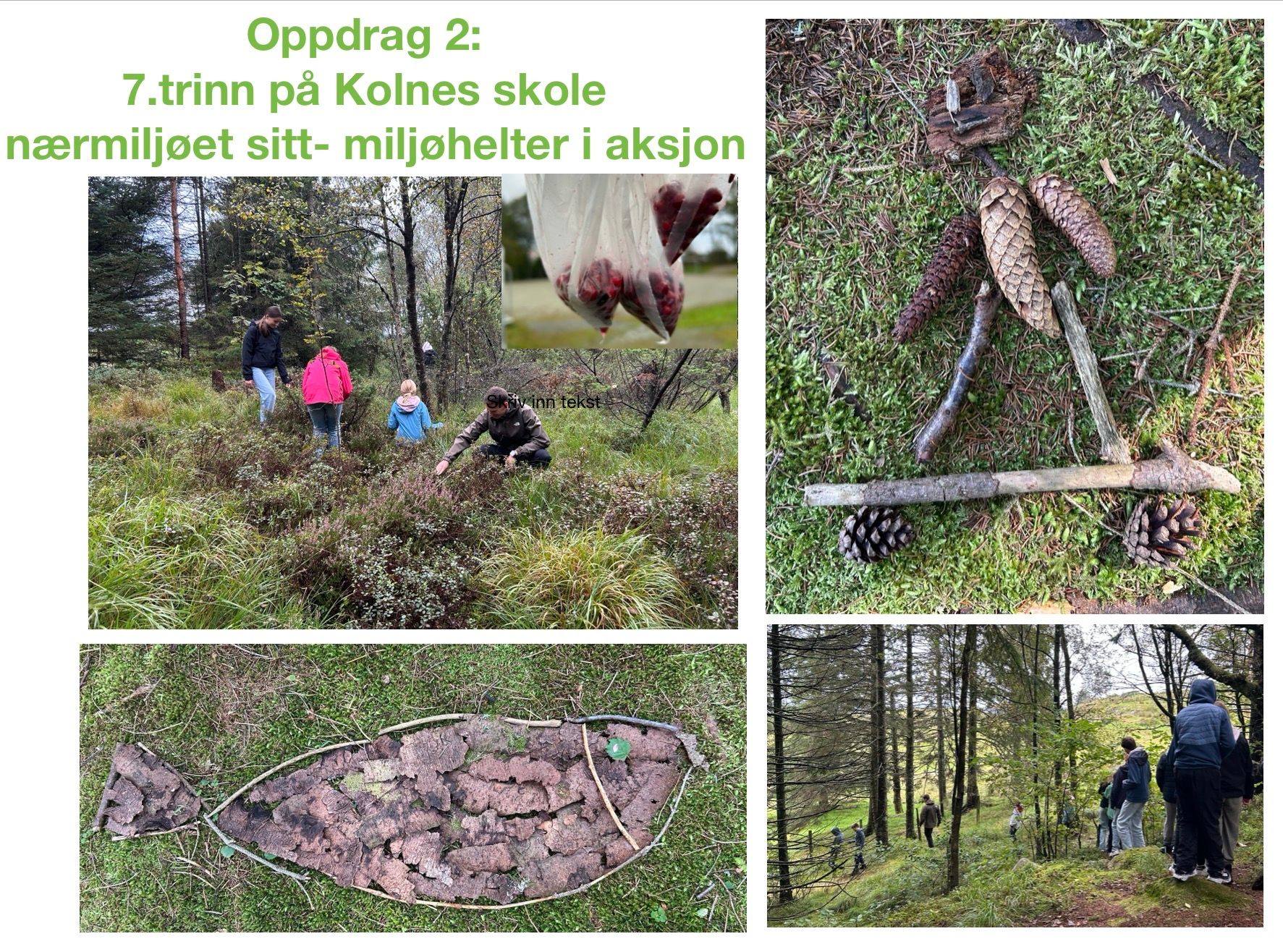 svar fra 7  ved Kolnes skole