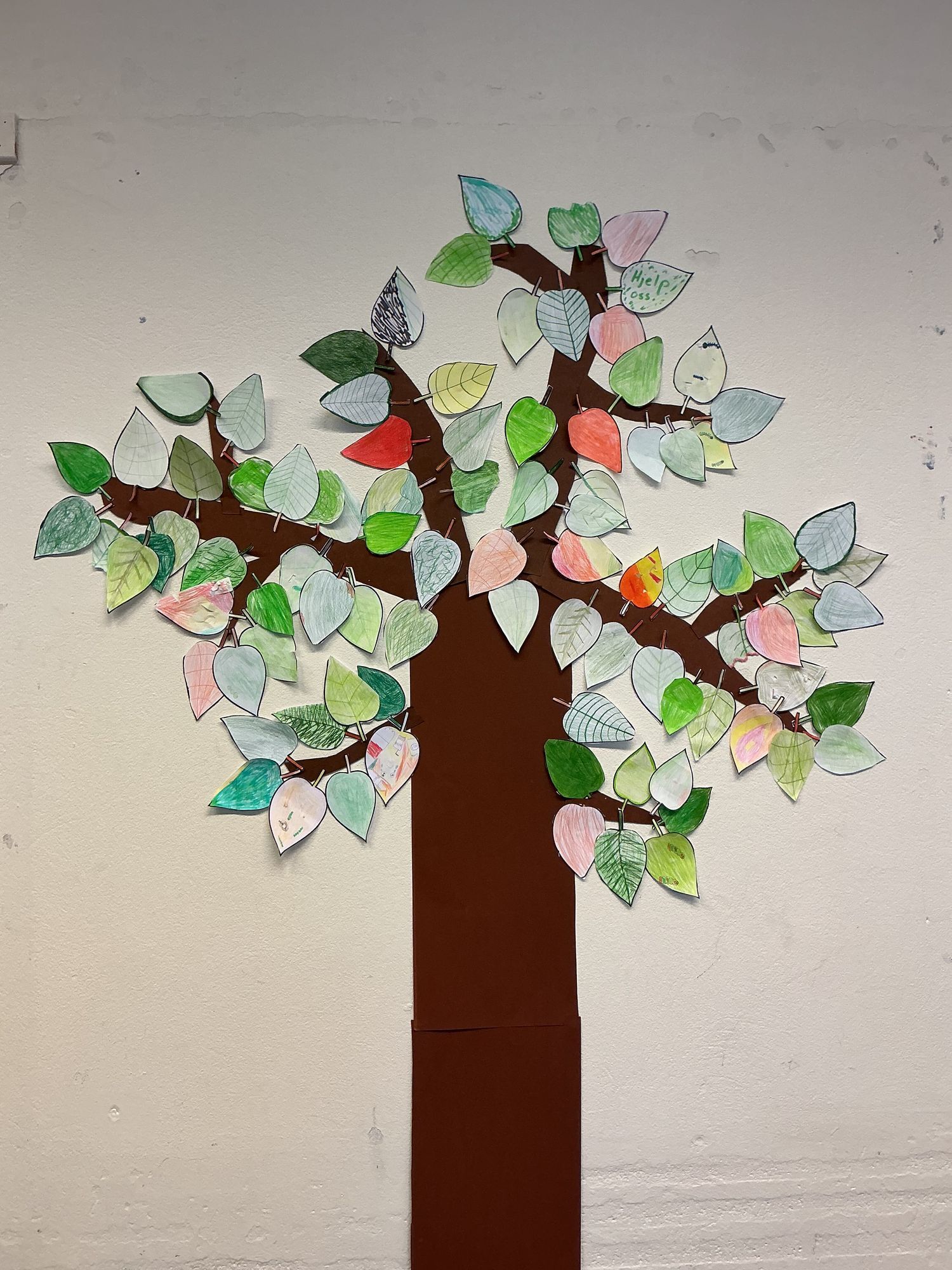 Innspill fra 5B Veavågen skole