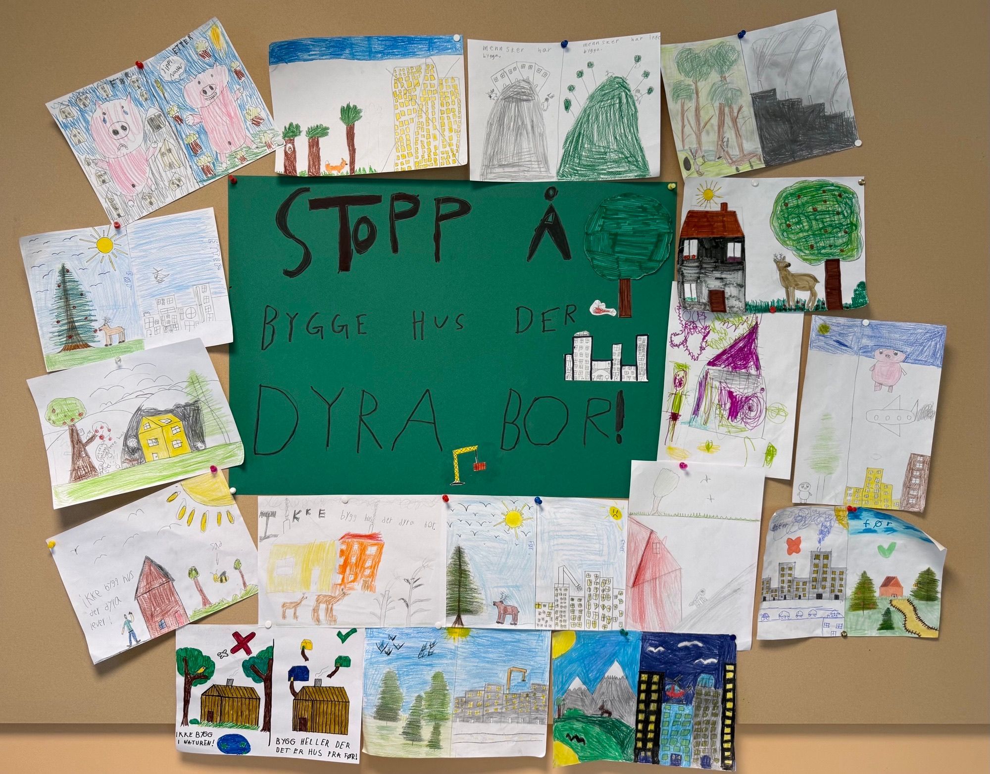 Innspill fra 5C Tvedestrand barneskole