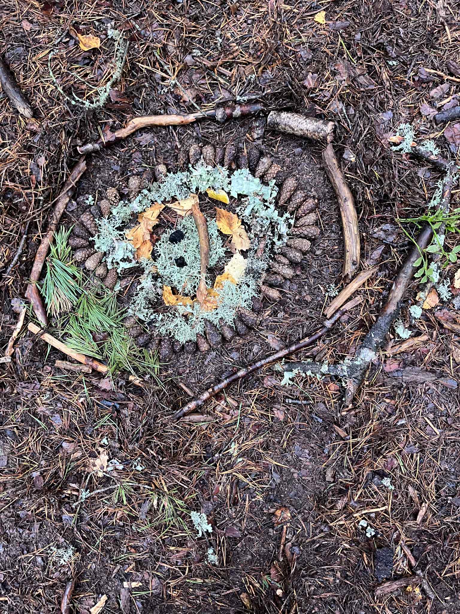 svar fra 2 C ved Østli skole