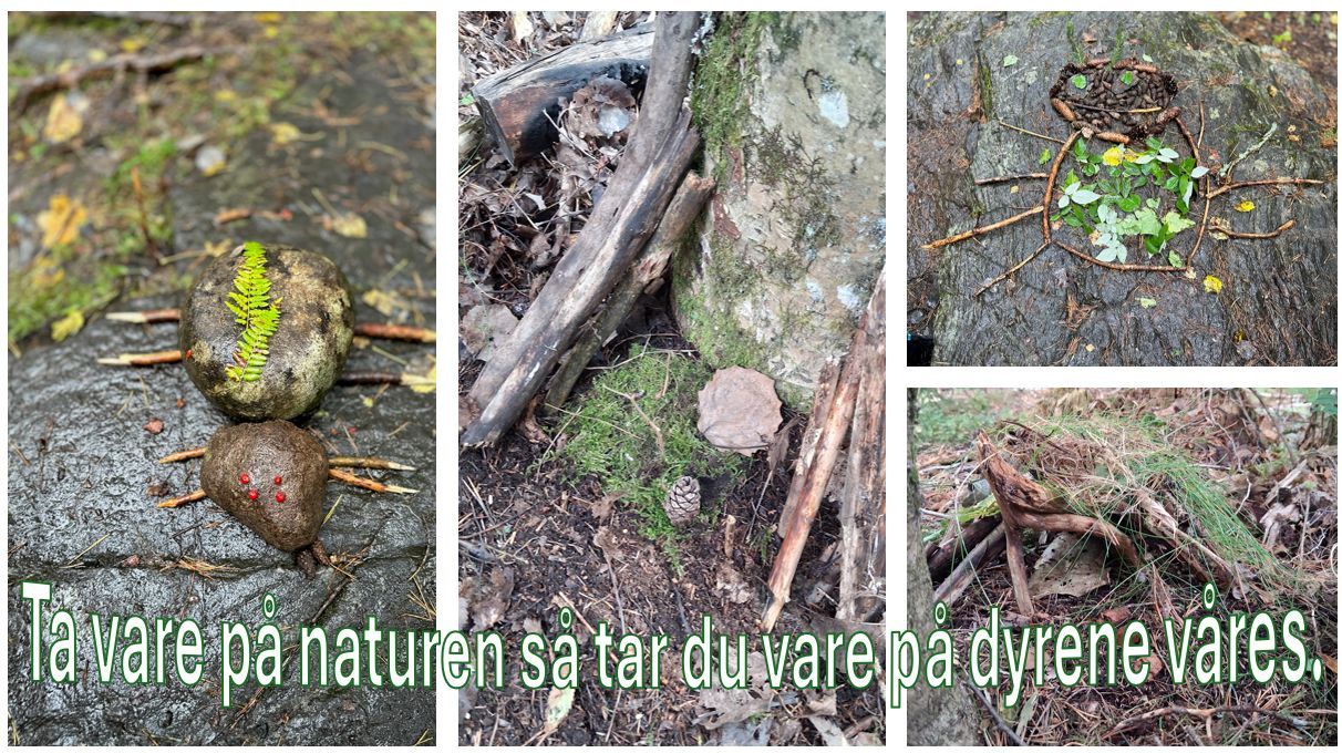 Innspill fra 4A Tomter skole
