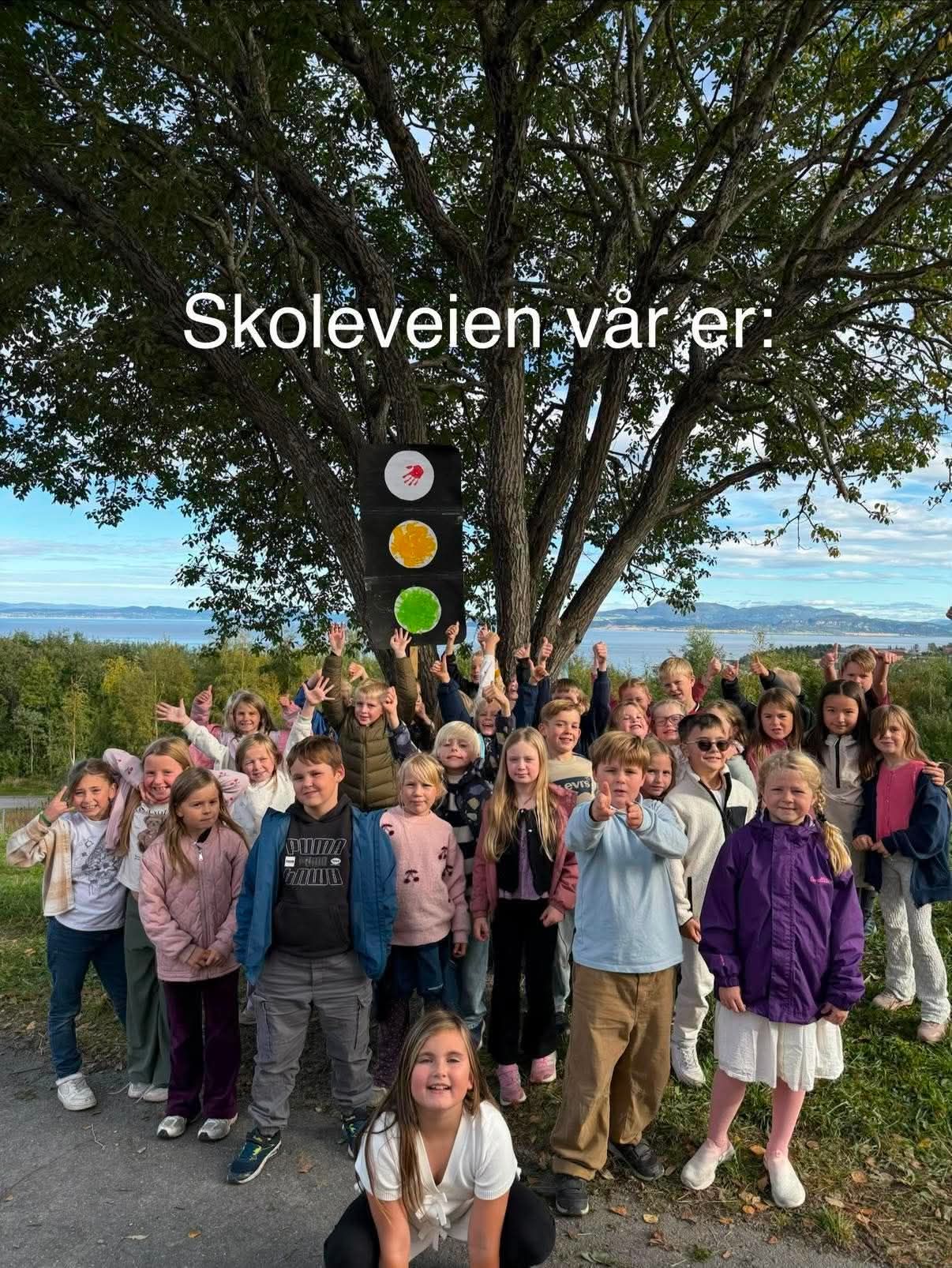 Innspill fra 3 Saksvik skole