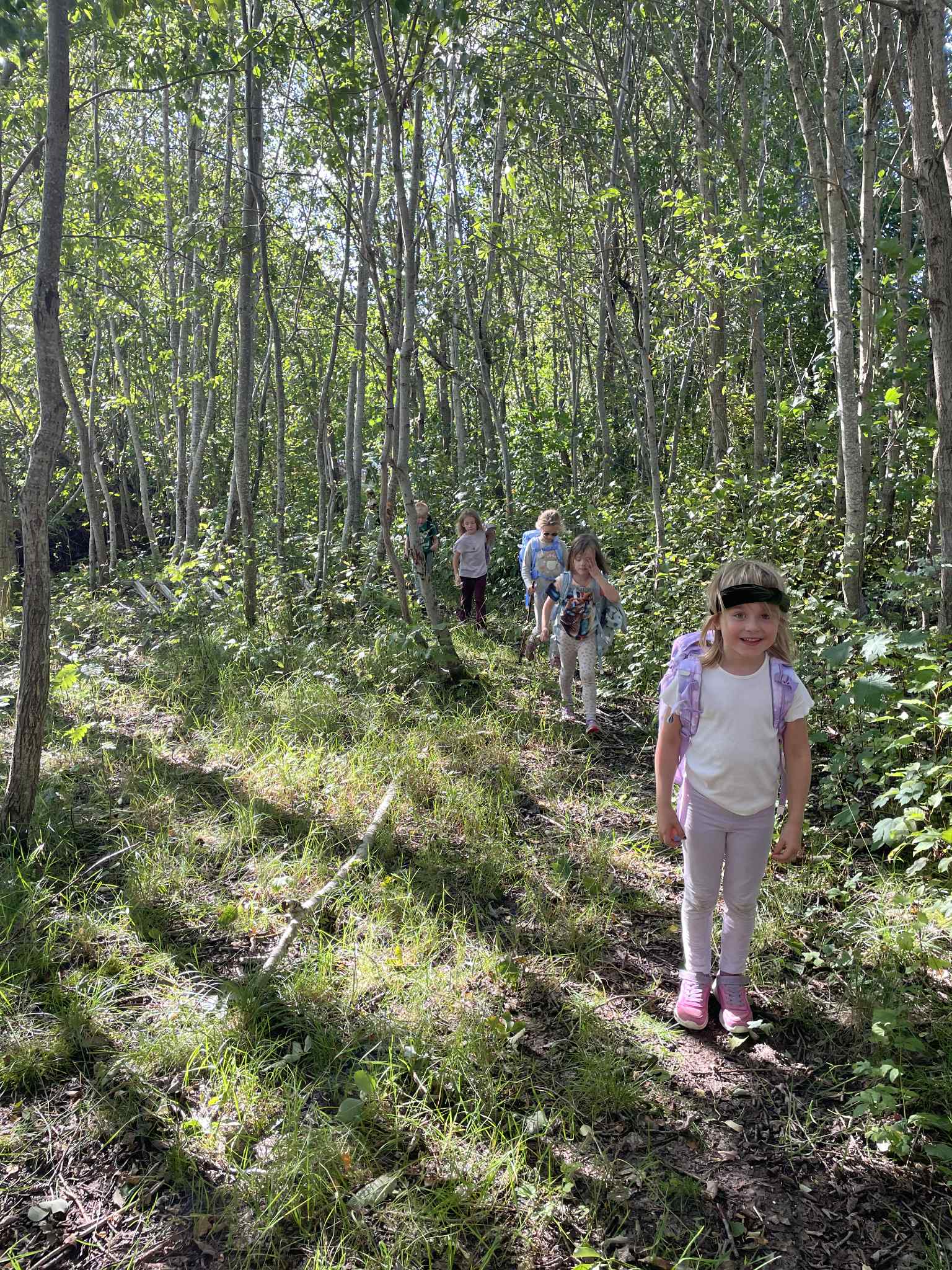 svar fra 2  ved Nypvang skole
