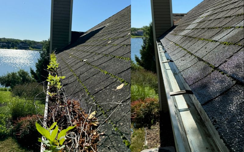 When Should You Schedule Gutter Cleaning