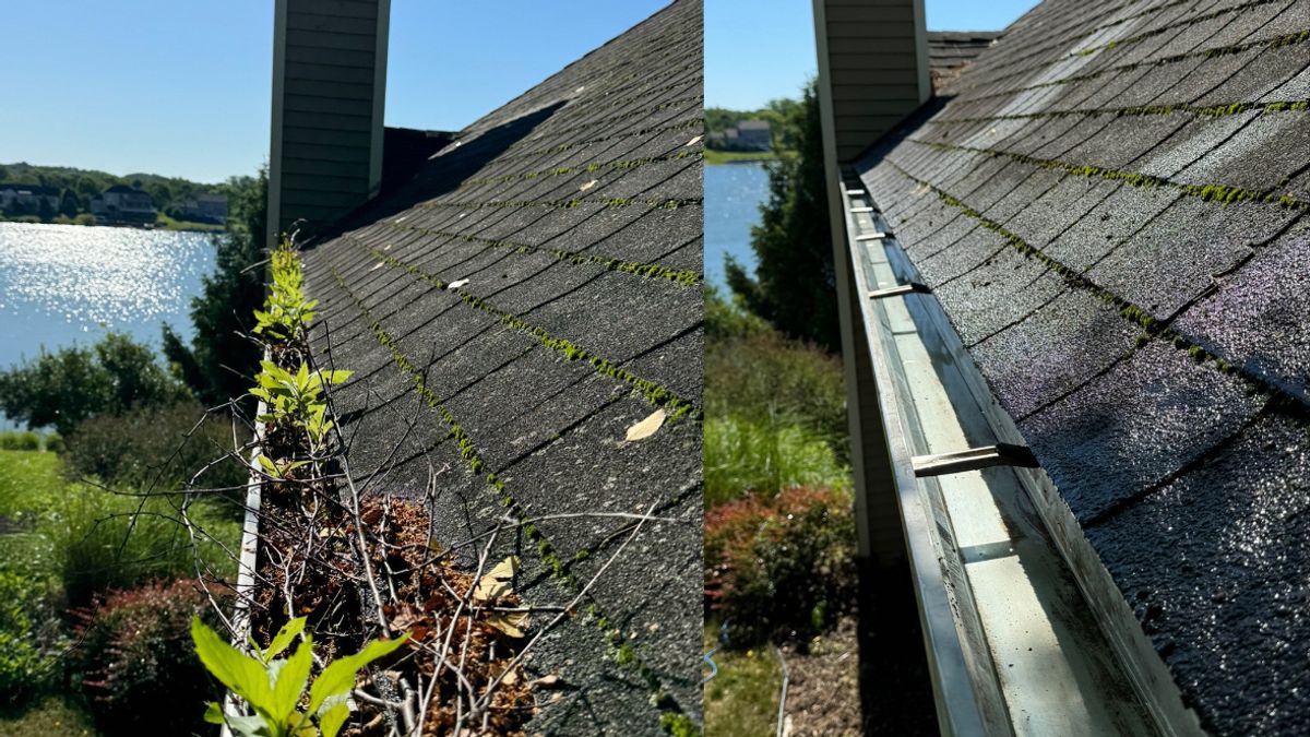 When Should You Schedule Gutter Cleaning