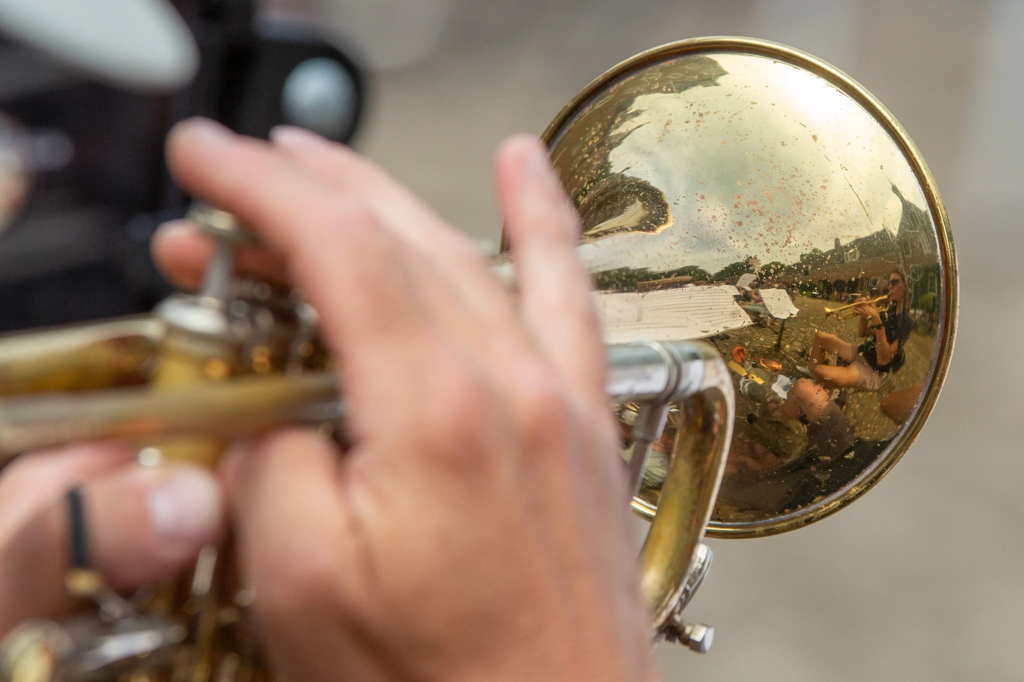 Zomers Concert op de Beestenmarkt