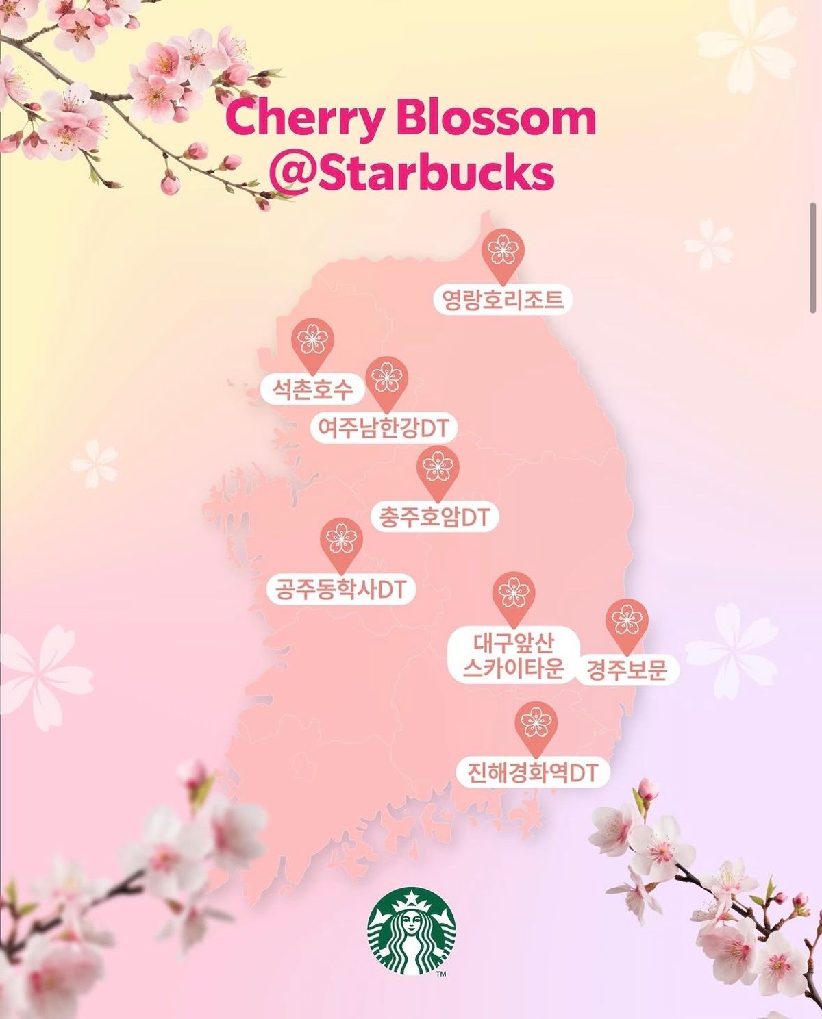 【2026最新】韓国スターバックス厳選!絶景の桜が楽しめる「韓国お花見名所店舗」8選