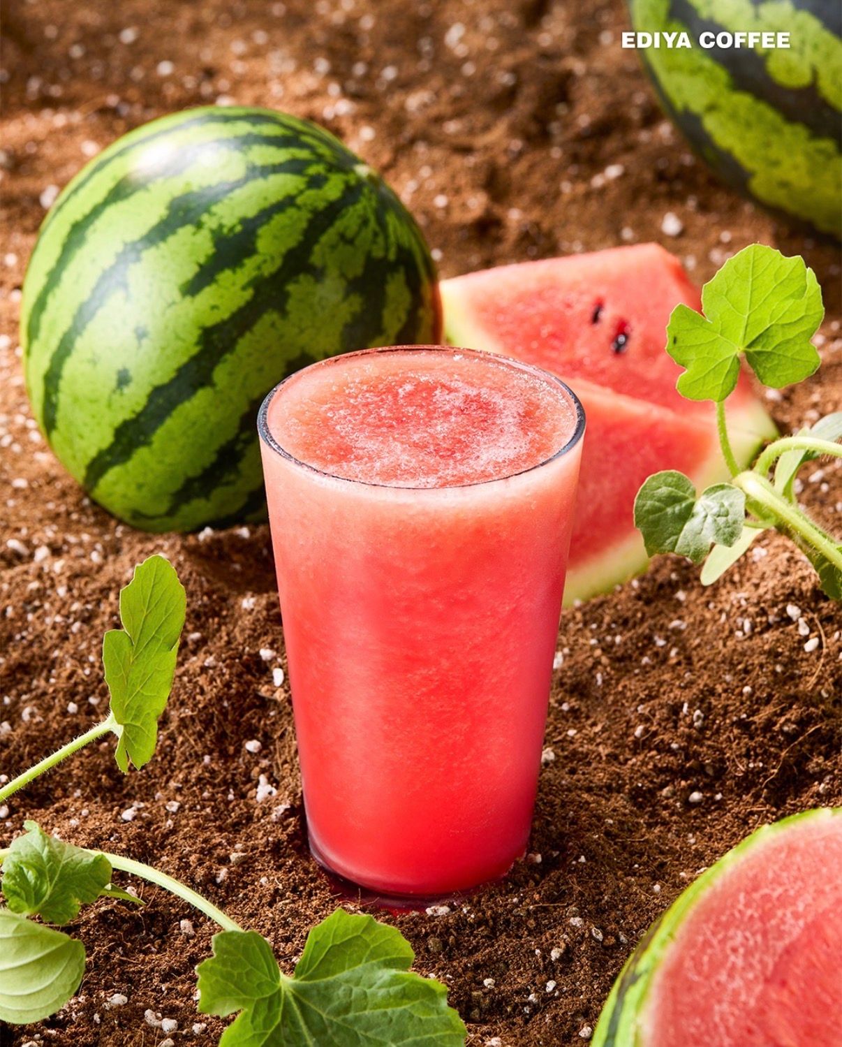 【エディヤコーヒー】夏の定番！大人気「生フルーツスイカジュース」が今年もカムバック🍉