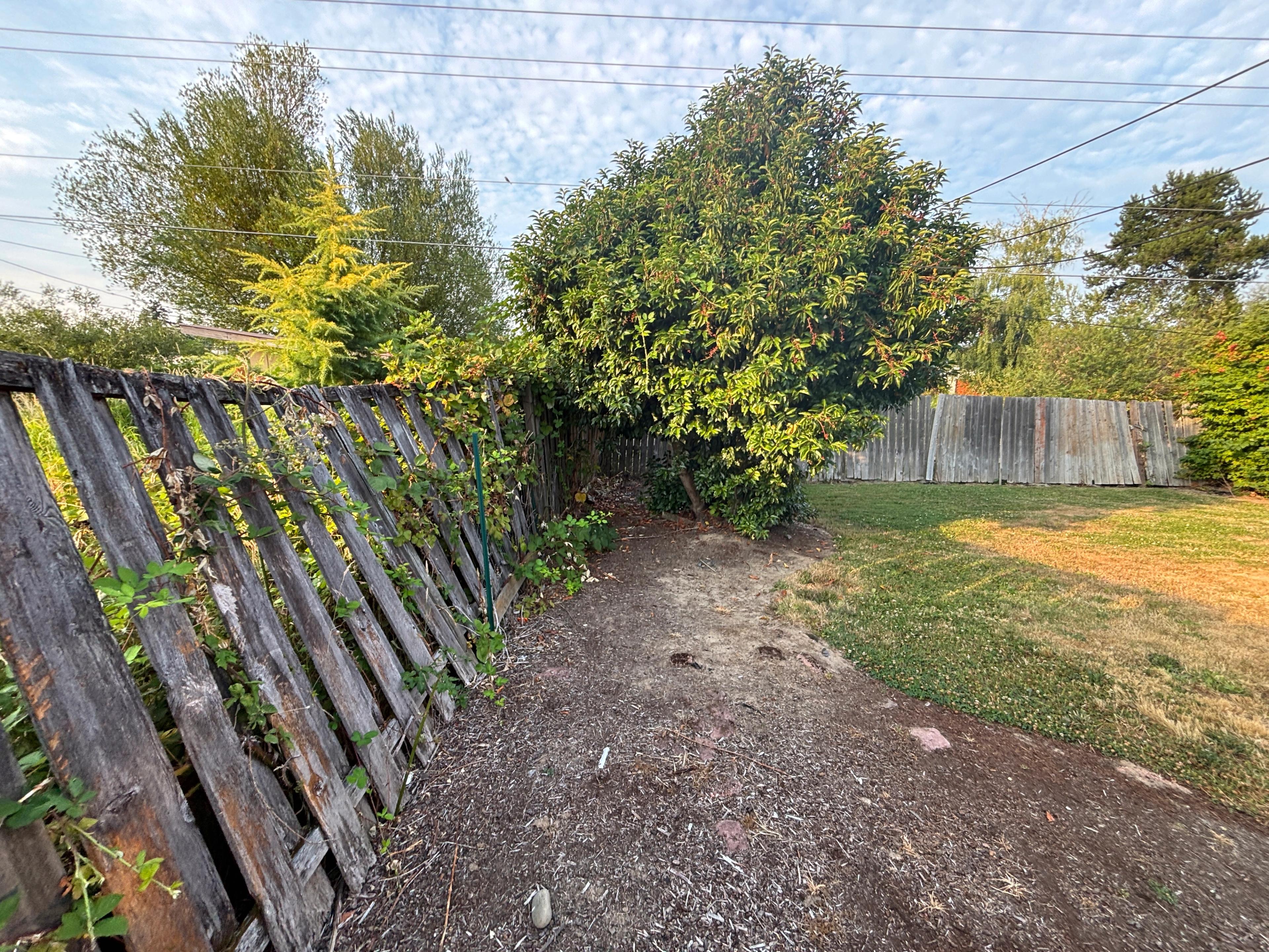 Cedar Fence Replacement, Milwaukie, Oregon — photo 1 of 7