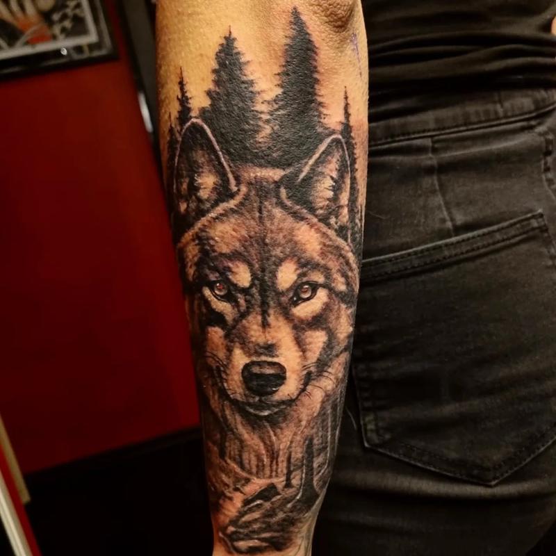 Wolf on arm