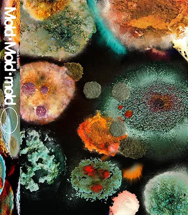 an image that is meant to look like mold but in fact, not actually mold.