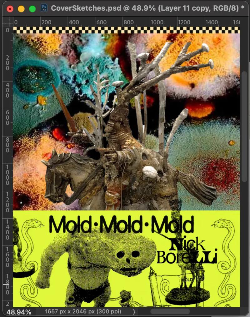 A photoshop window with an image of the mold mold mold book inside of it.