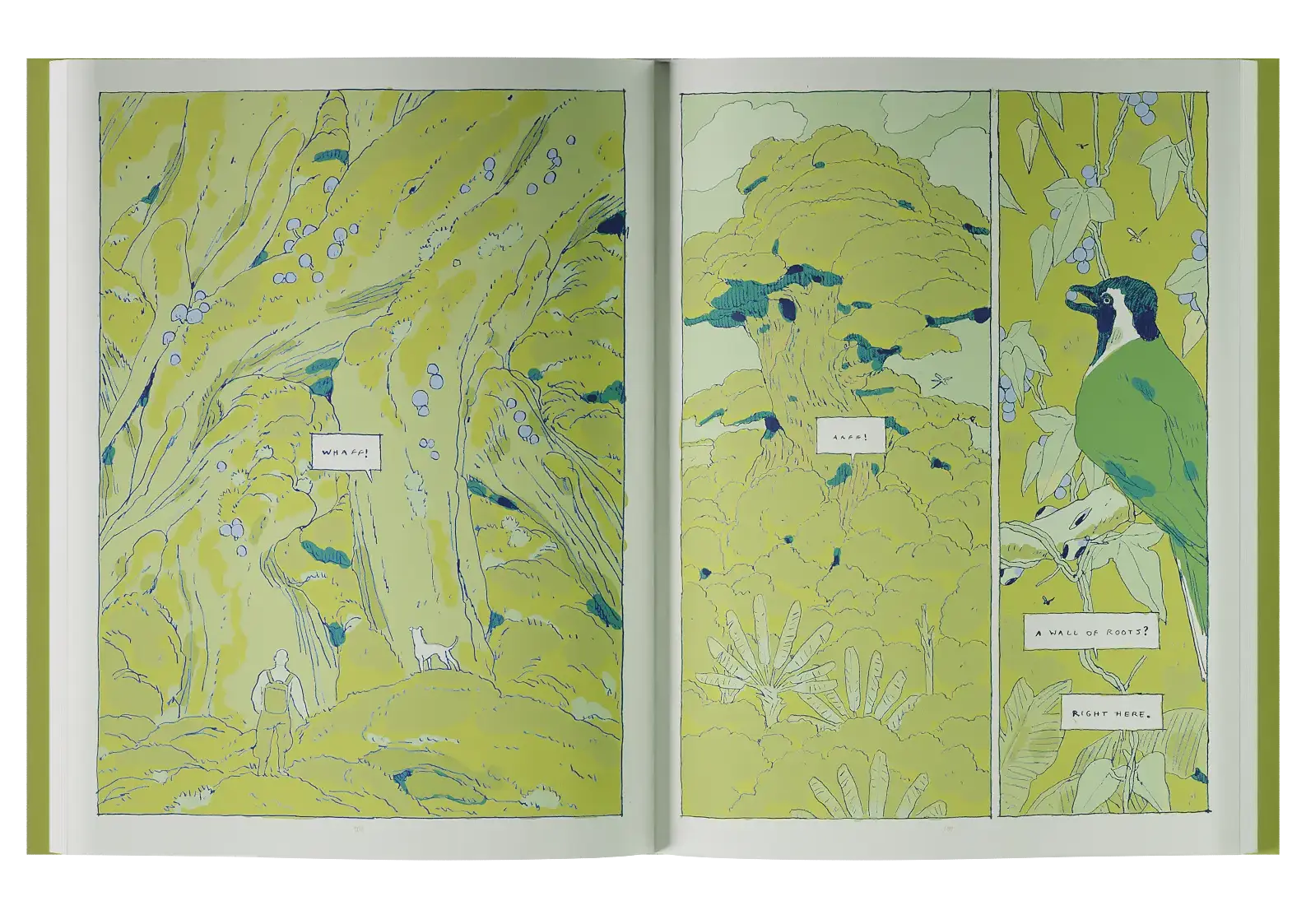 Spread from interiors of the book.