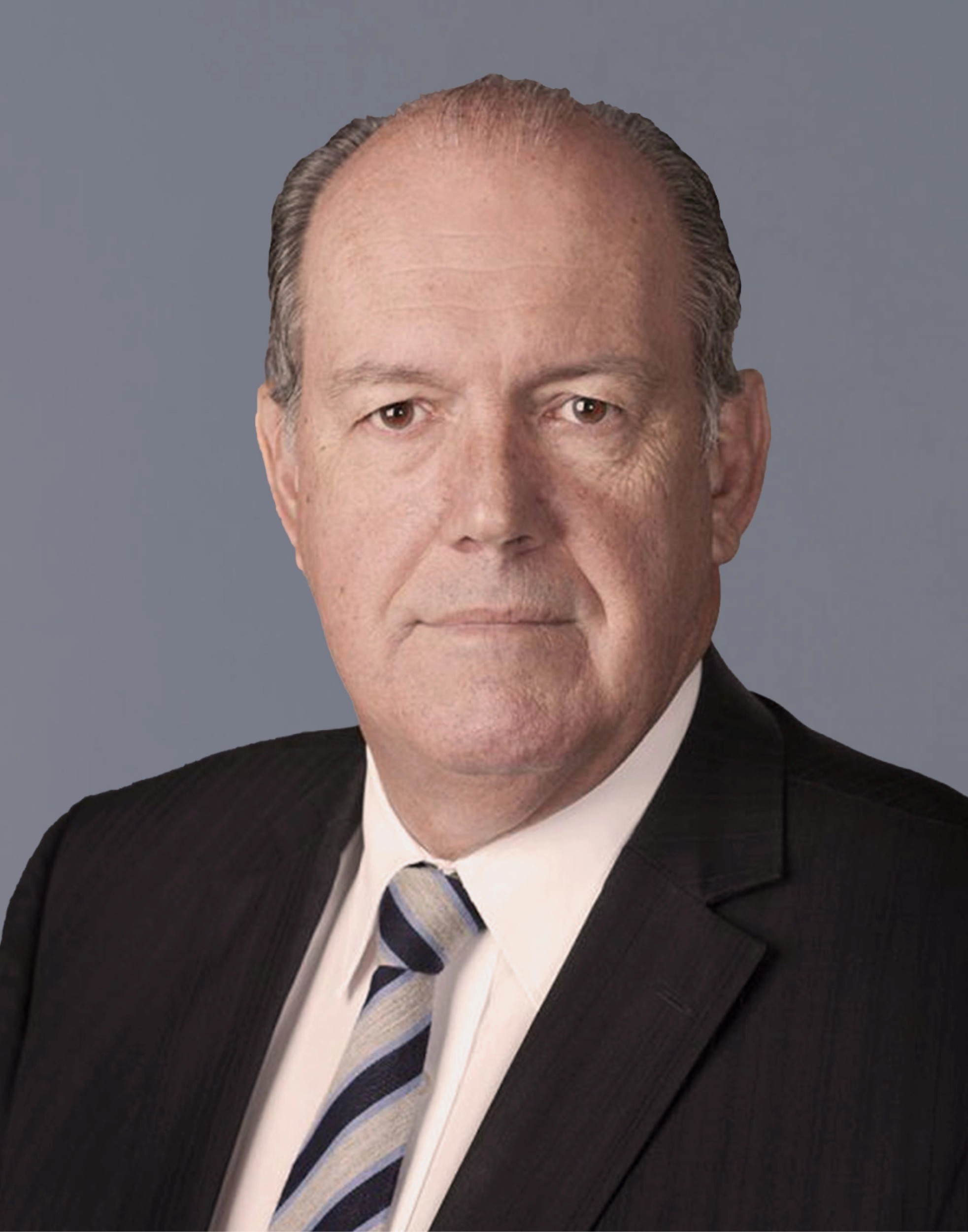 Hon David Johnston