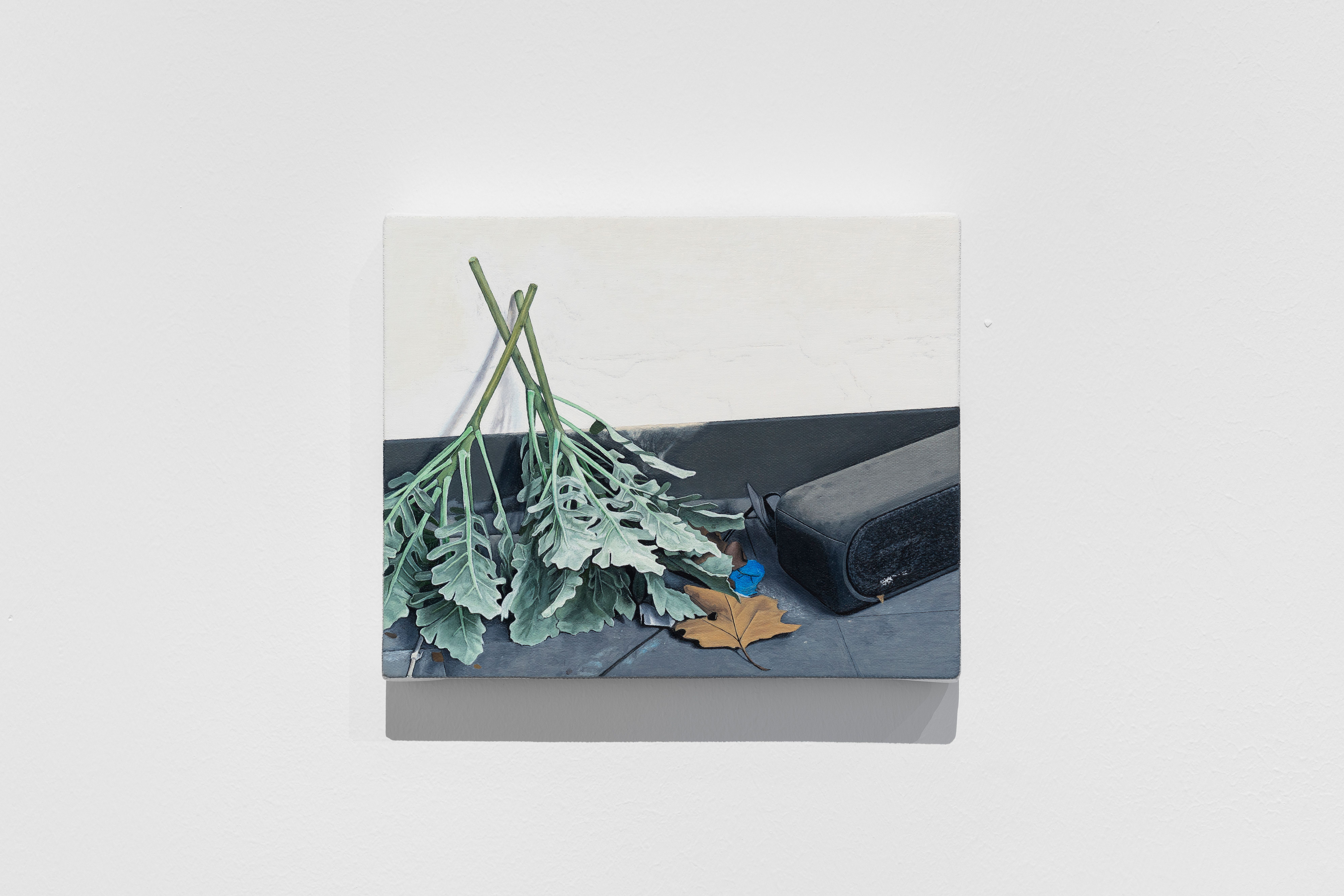 Caleb Considine, Postcard, 2019