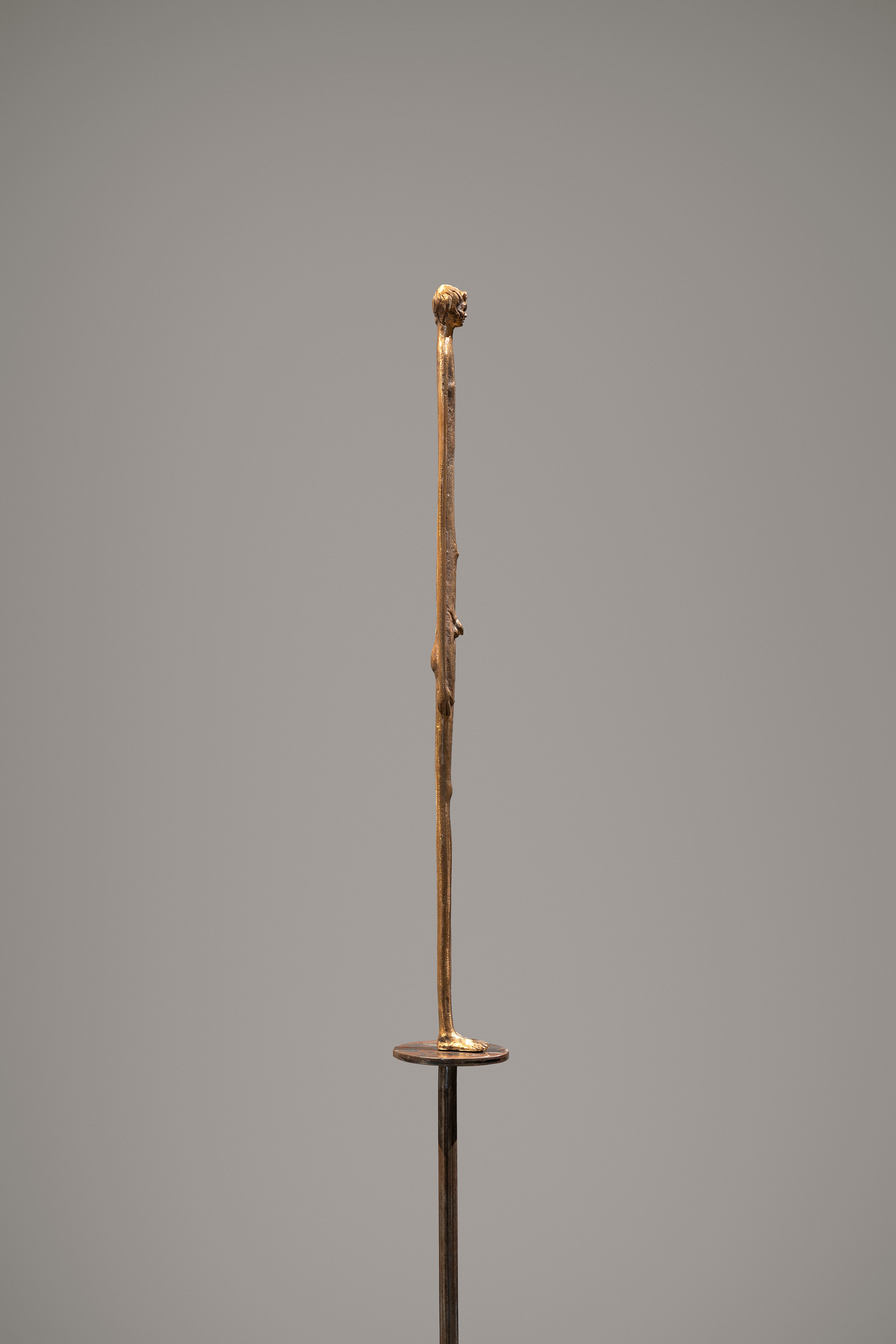 Ombra della sera