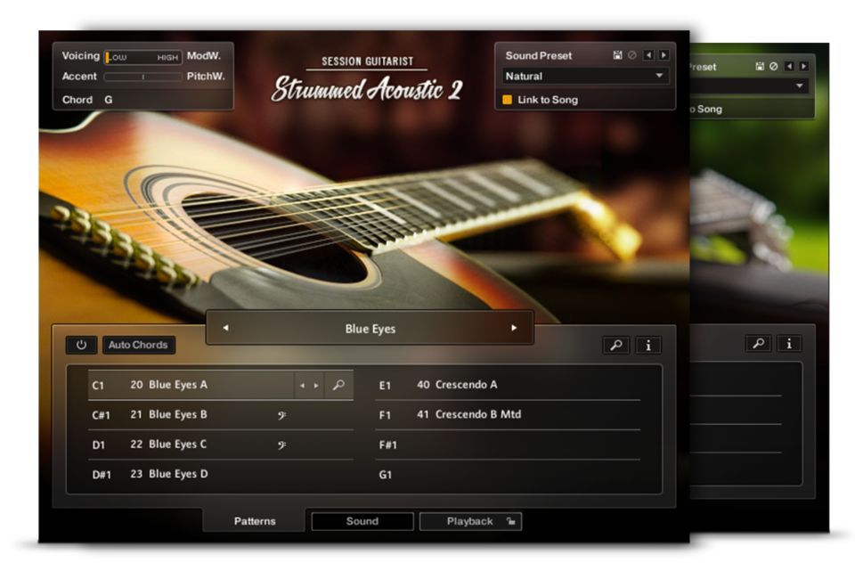 Native Instruments Strummed Acoustic 2