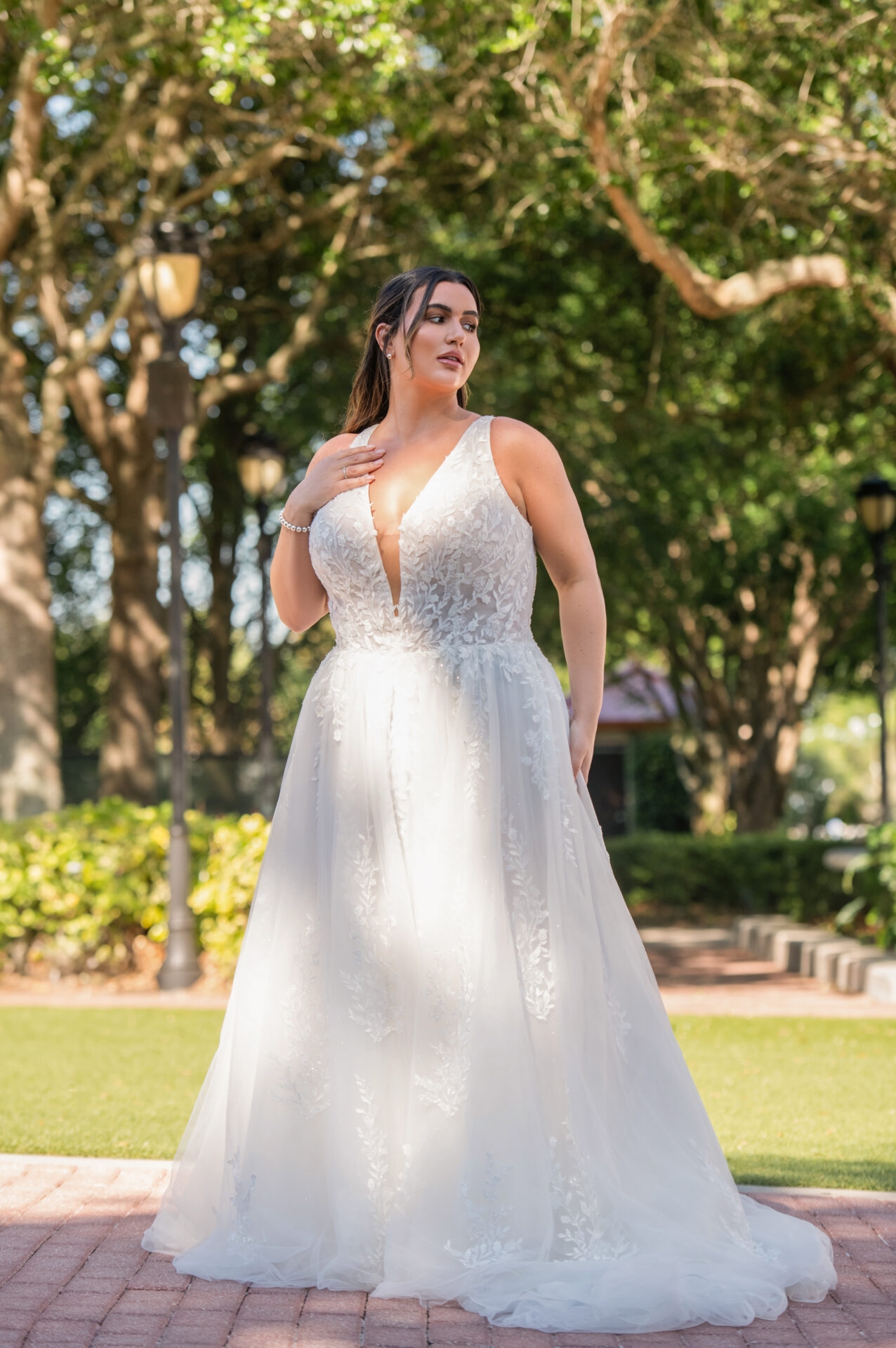 The Curated Curve Collection