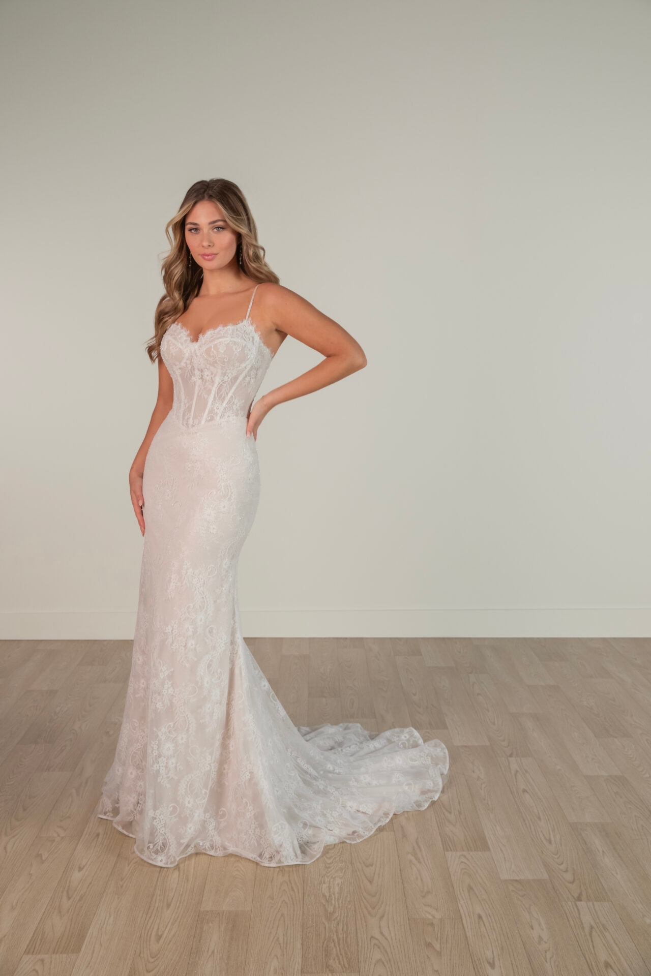 SY8122 by Stella York