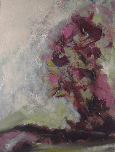 Pink Light on Tree by Derek Fitzpatrick