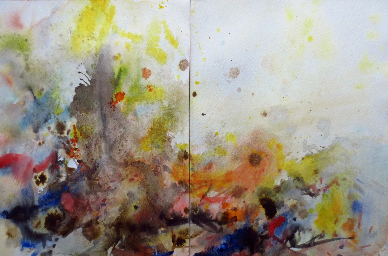 Nature's Colours by Derek Fitzpatrick