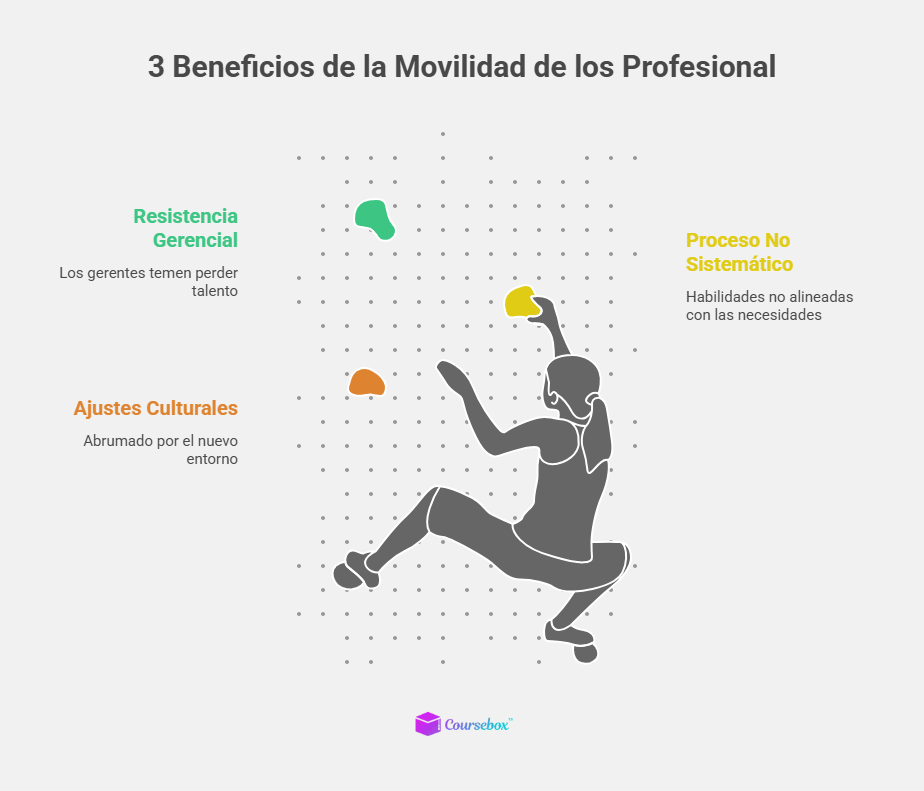 3 Beneficios de la Movilidad de los Profesional