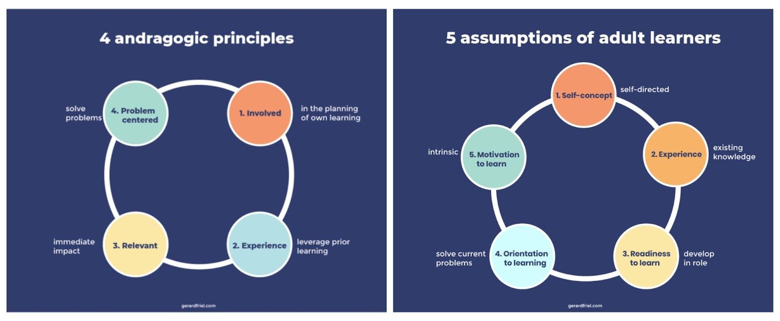 diagram of andragogic principles and adult learning assumptions