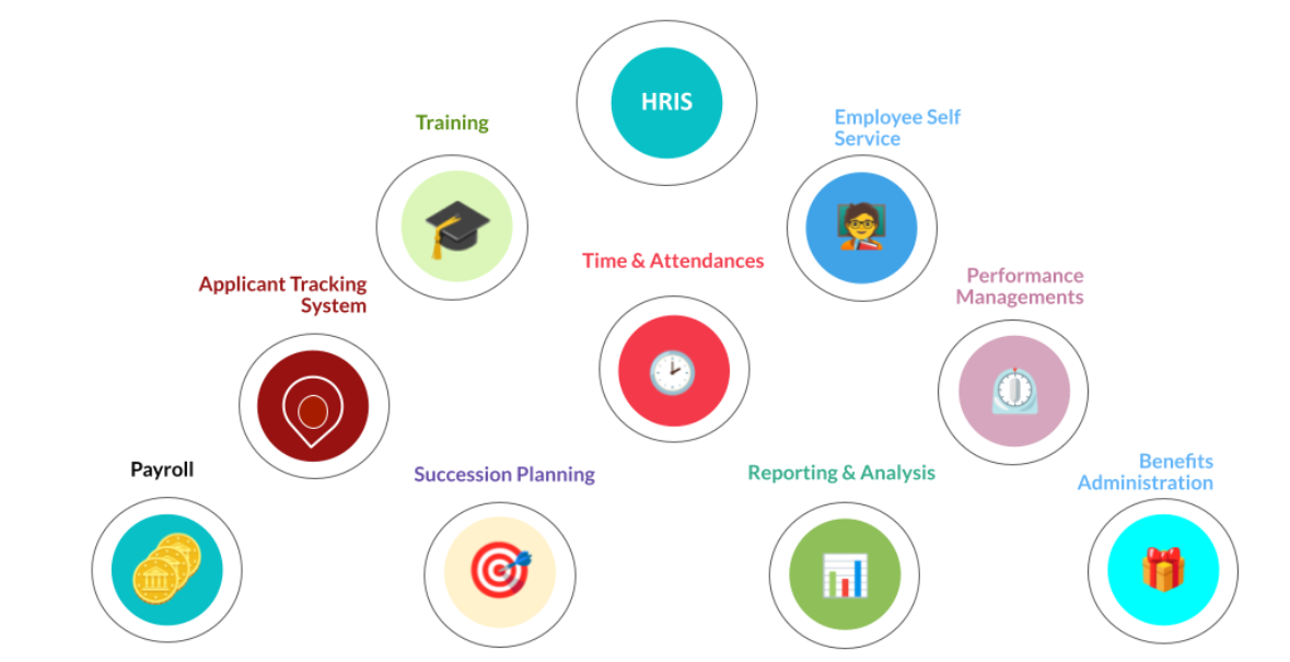 Benefits of HRIS Training and Development