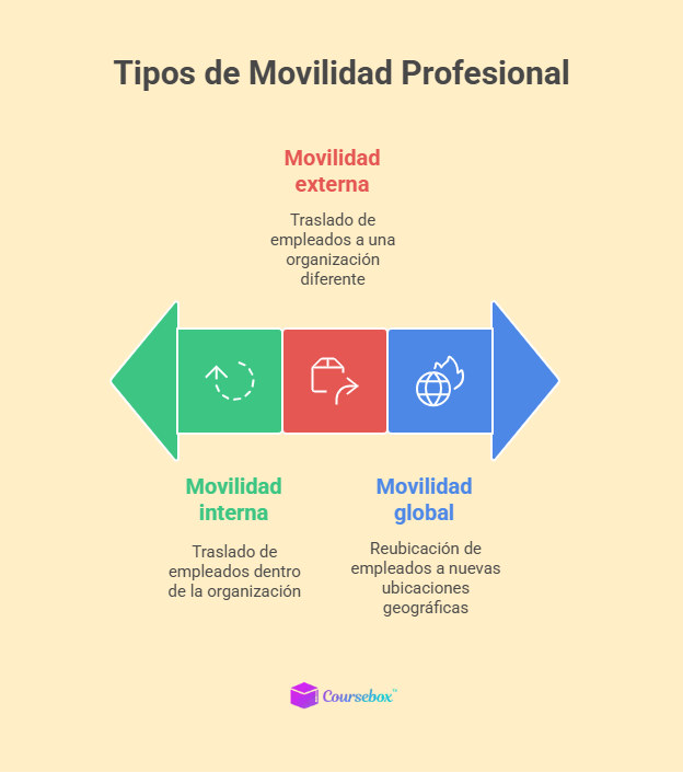 Tipos de Movilidad Profesional