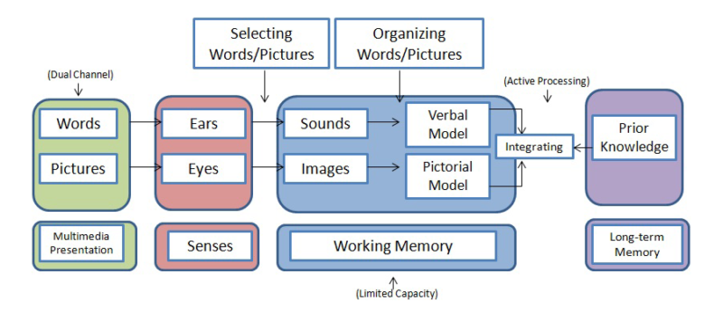 Add Multimedia and Interactive Elements