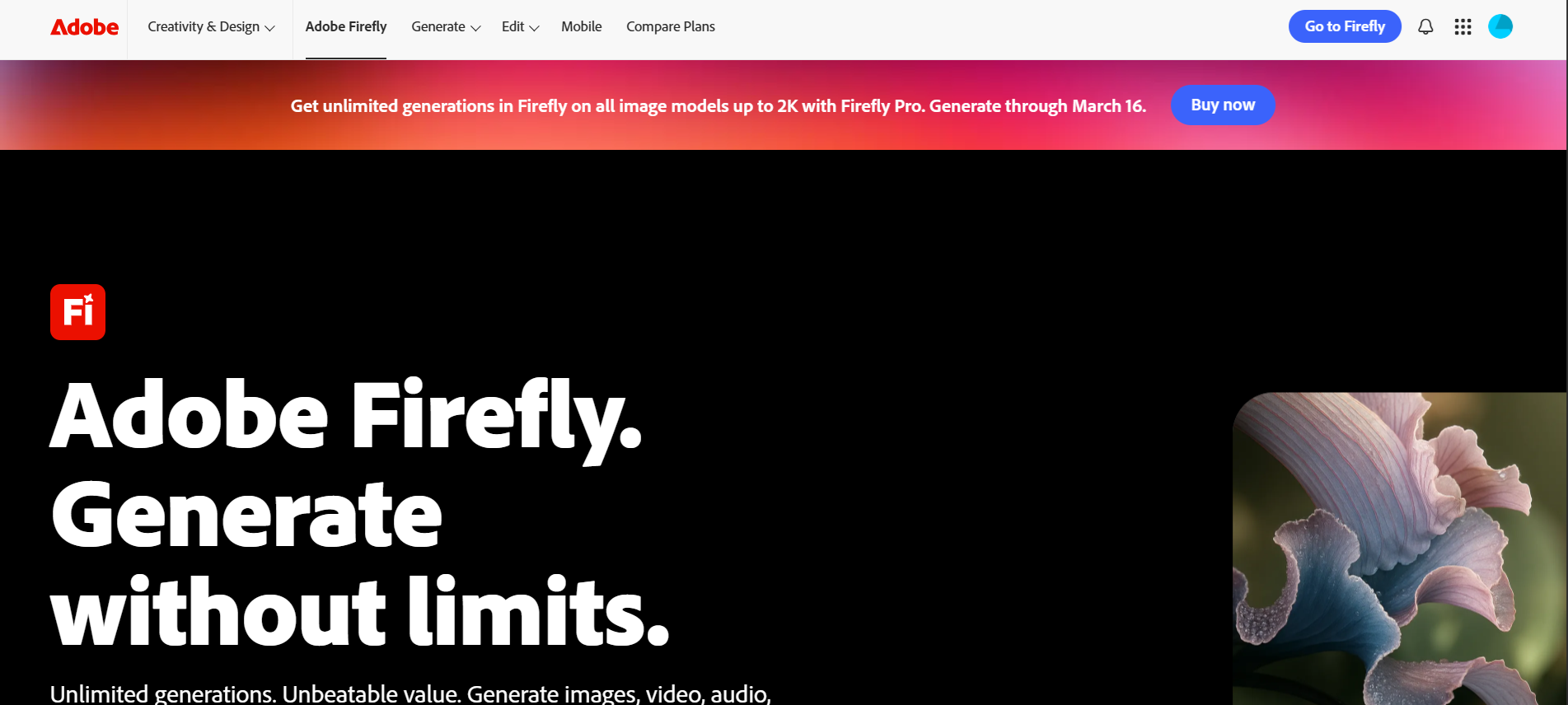 Adobe Firefly homepage