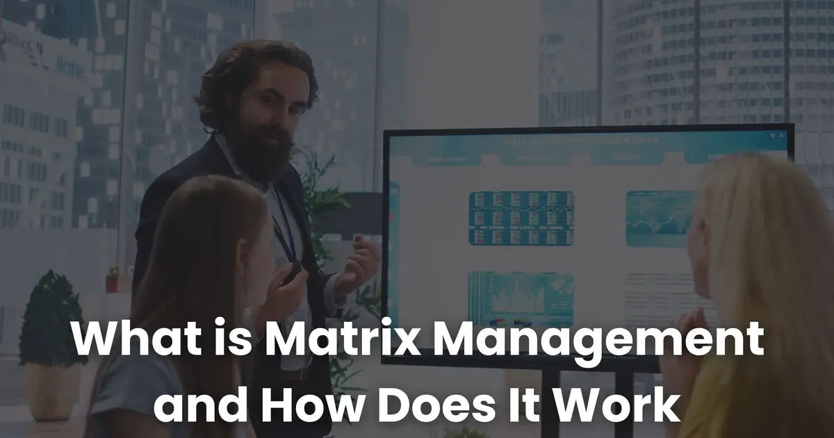 What is Matrix Management and How Does It Work | Coursebox AI