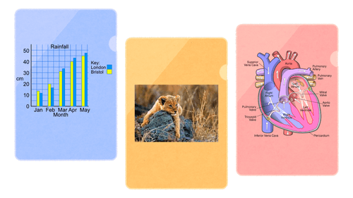 Coursebox flashcard generator