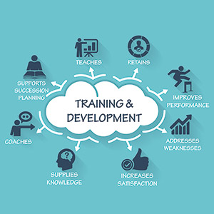 Why is Employee Development Important?