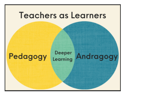 Pedagogy Vs Andragogy Similarities