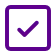 Check square icon