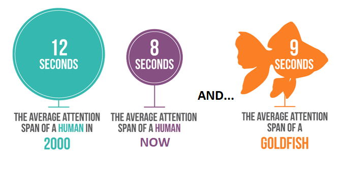 Average attention spans