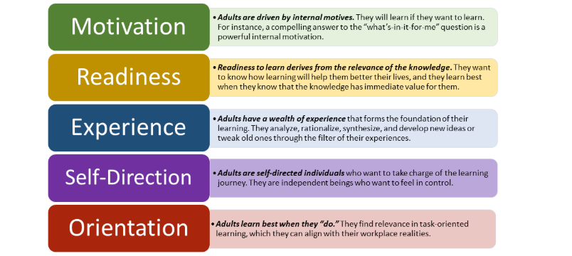 Andragogy