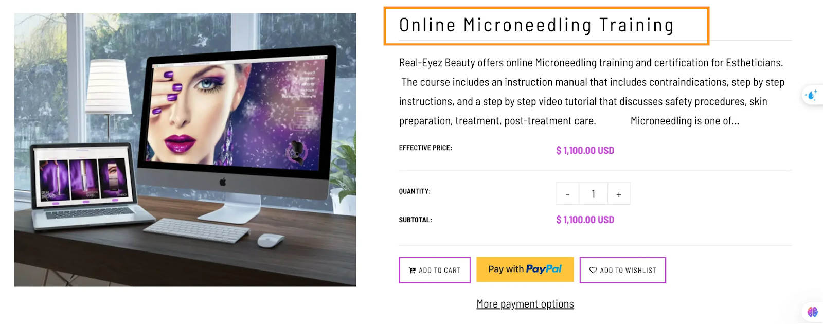 Real-Eyez Beauty Online Microneedling Training