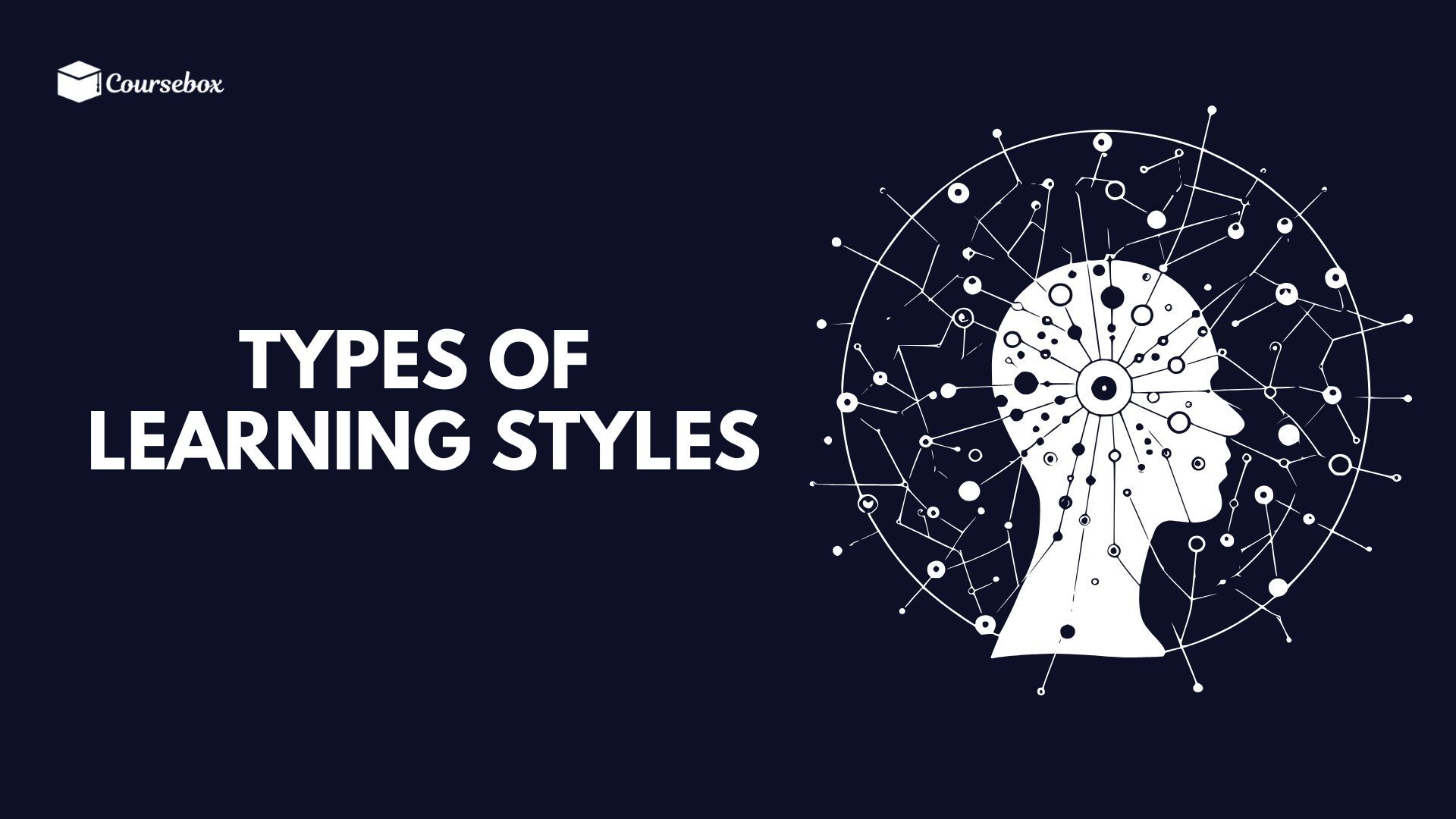 DIFFERENT TYPES OF LEARNING STYLES