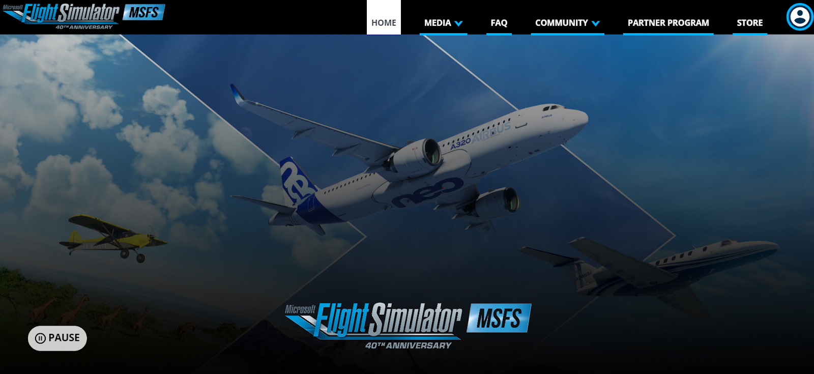 Microsoft flight simulator