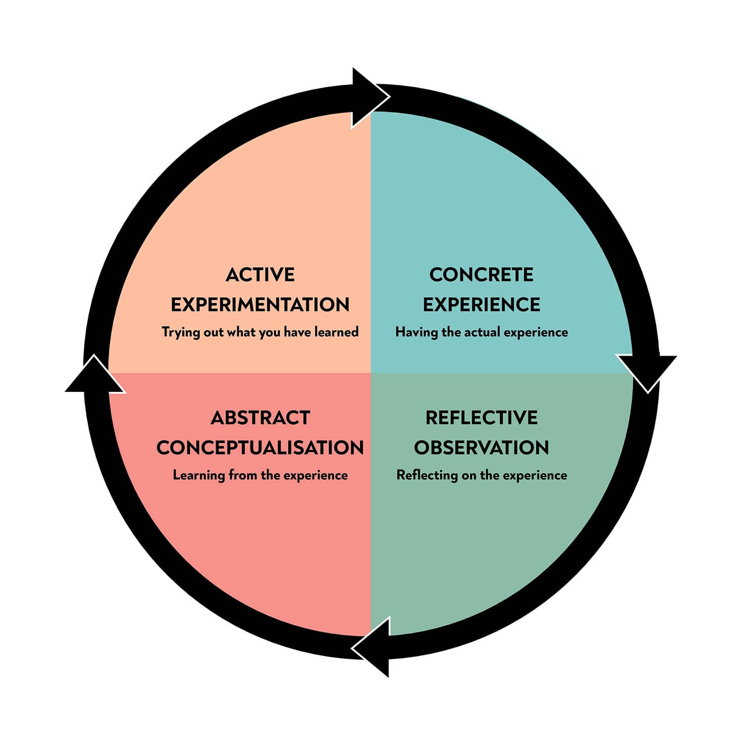 adult learning cycle