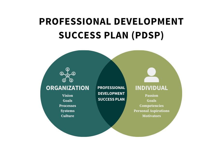 Professional Development Success Plan
