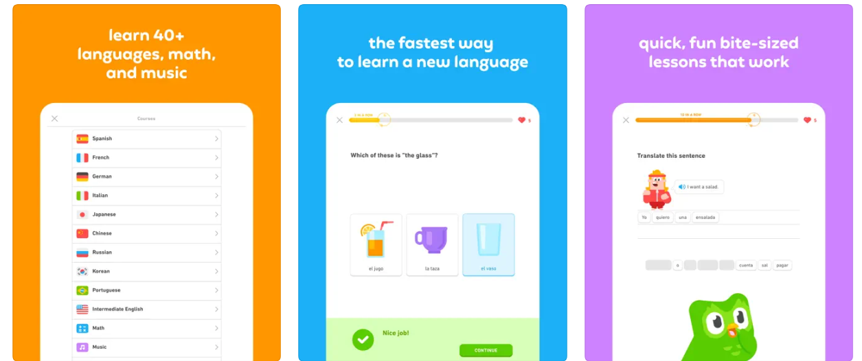 Duolingo (Best Language Learning App)