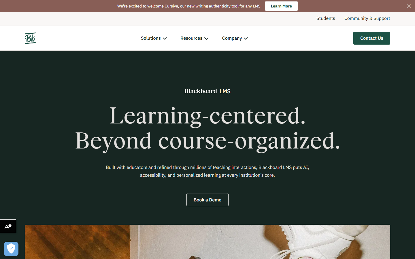 Blackboard Learn homepage presenting learning and course organisation