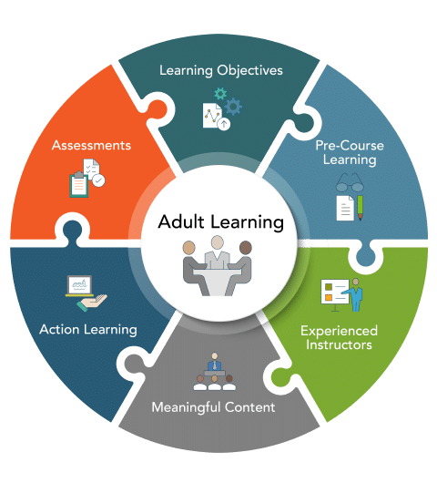 Benefits of the Adult Learning Cycle